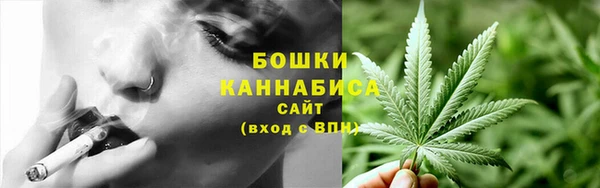 прущие грибы Балахна