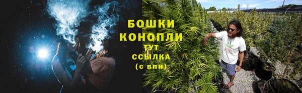 прущие грибы Балахна