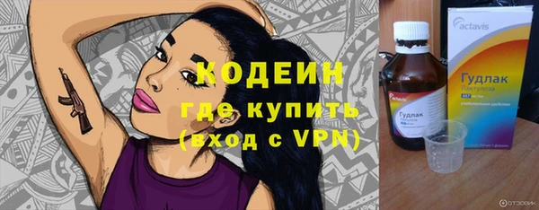 прущие грибы Балахна