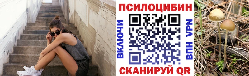 Галлюциногенные грибы Psilocybe  Губкин 